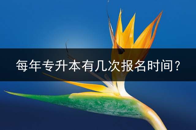 每年专升本有几次报名时间？