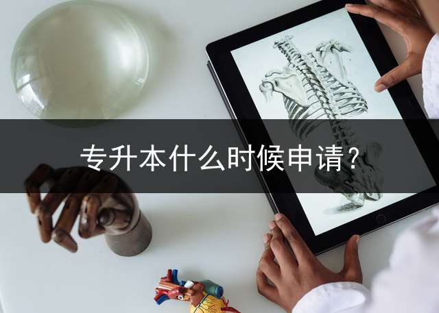 专升本什么时候申请？