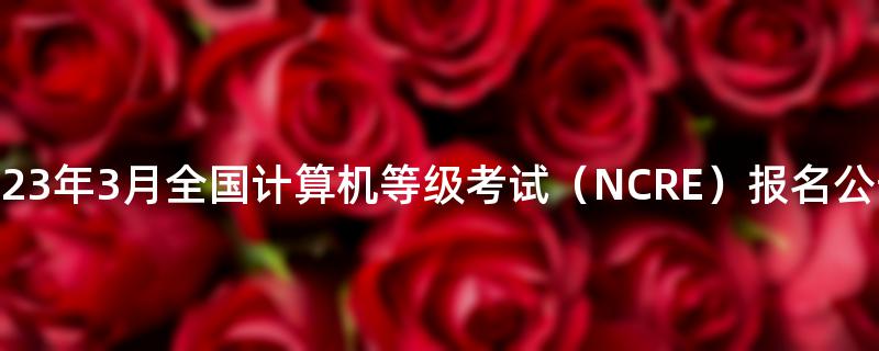 海南省2023年3月全国计算机等级考试（NCRE）报名公告