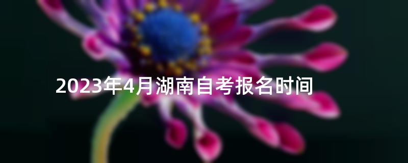 2023年4月湖南自考报名时间
