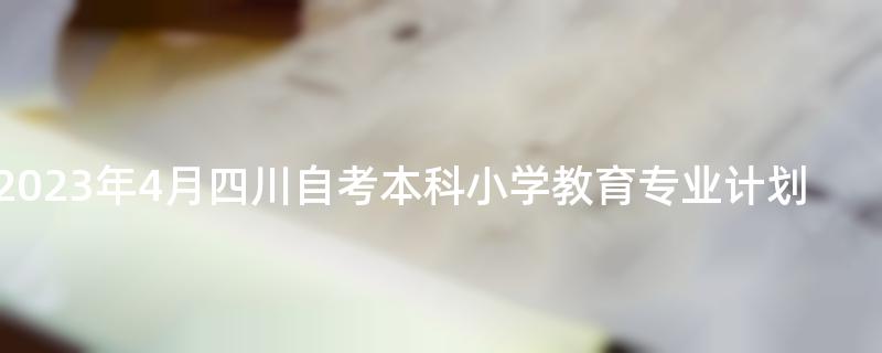 2023年4月四川自考本科小学教育专业计划