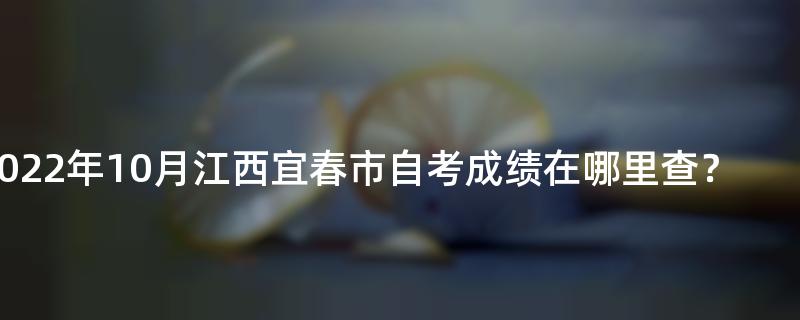 2022年10月江西宜春市自考成绩在哪里查？