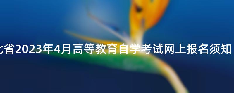湖北省2023年4月高等教育自学考试网上报名须知