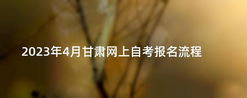 2023年4月甘肃网上自考报名流程