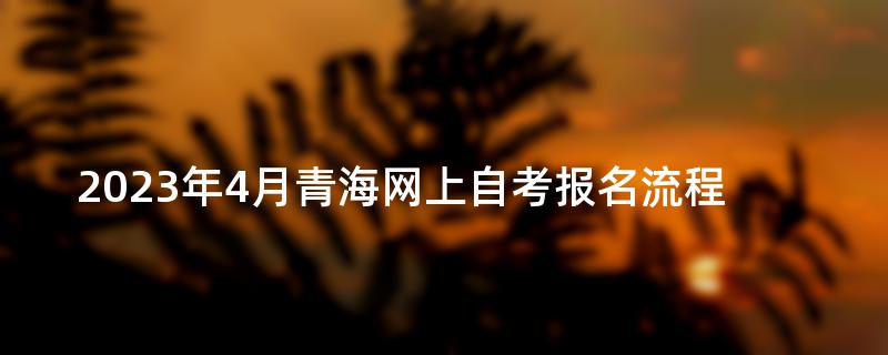 2023年4月青海网上自考报名流程