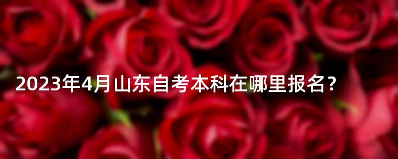 2023年4月山东自考本科在哪里报名？