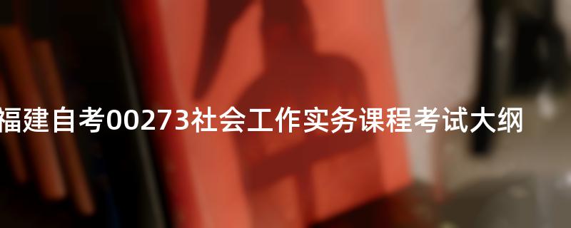 福建自考00273社会工作实务课程考试大纲