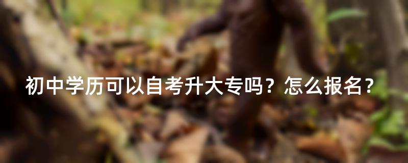 初中学历可以自考升大专吗？怎么报名？