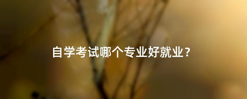 自学考试哪个专业好就业？