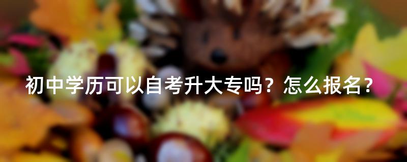 初中学历可以自考升大专吗？怎么报名？